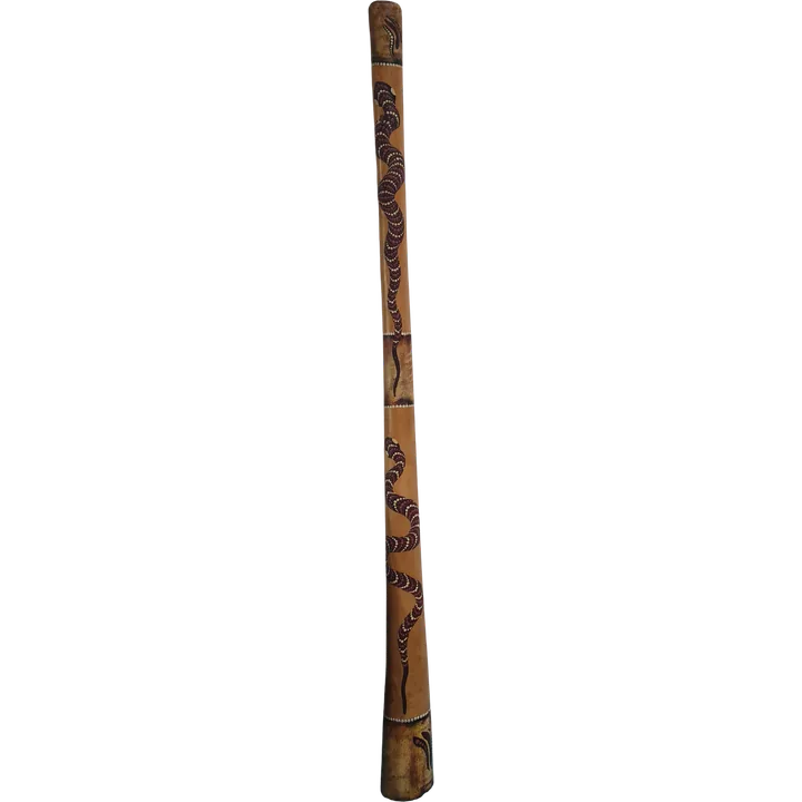 Didgeridoo aux sons graves et vibratoires